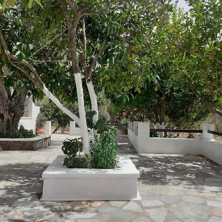 Villa Tillia Panormos  Exteriér fotografie