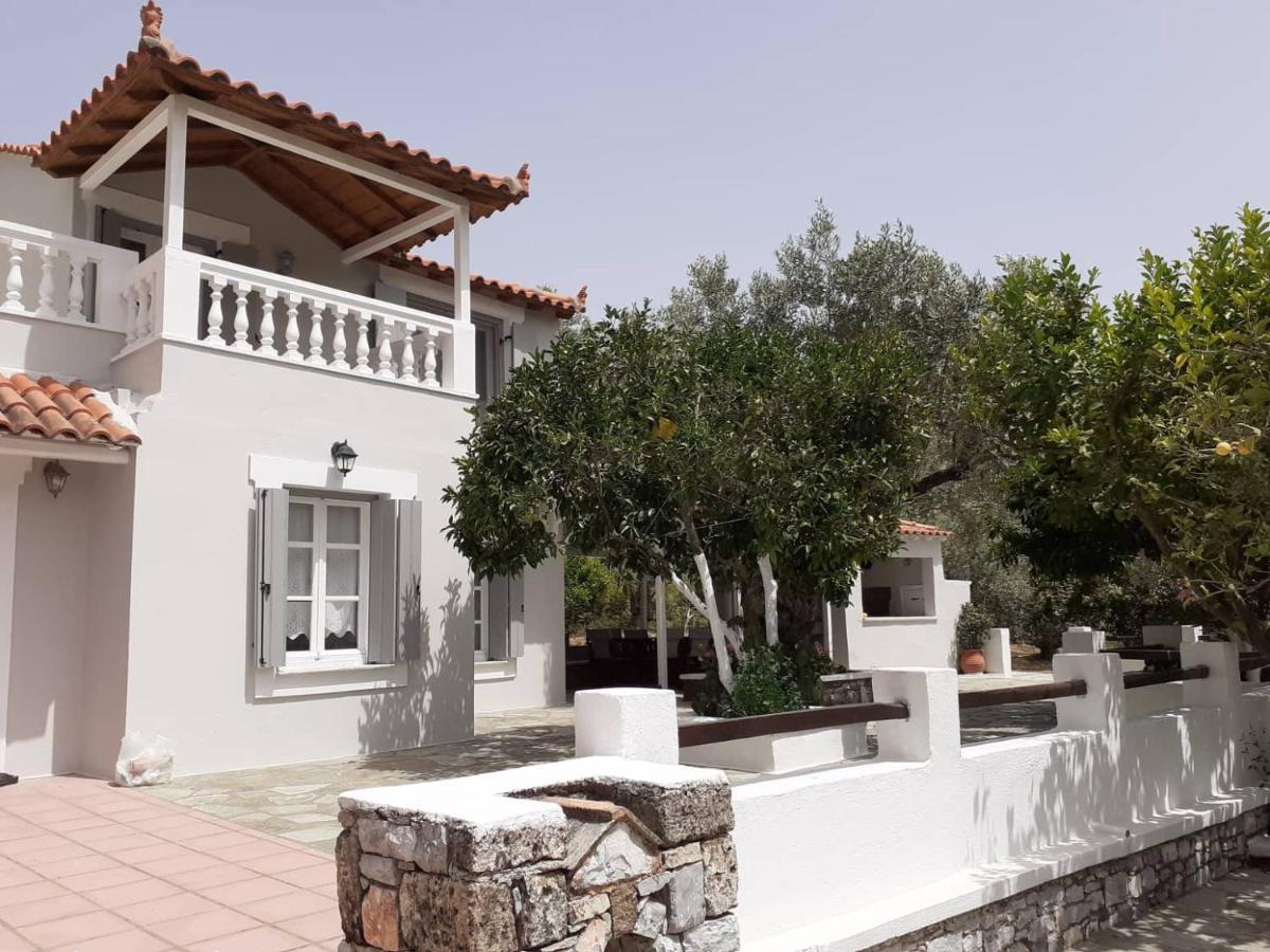 Villa Tillia Panormos  Exteriér fotografie