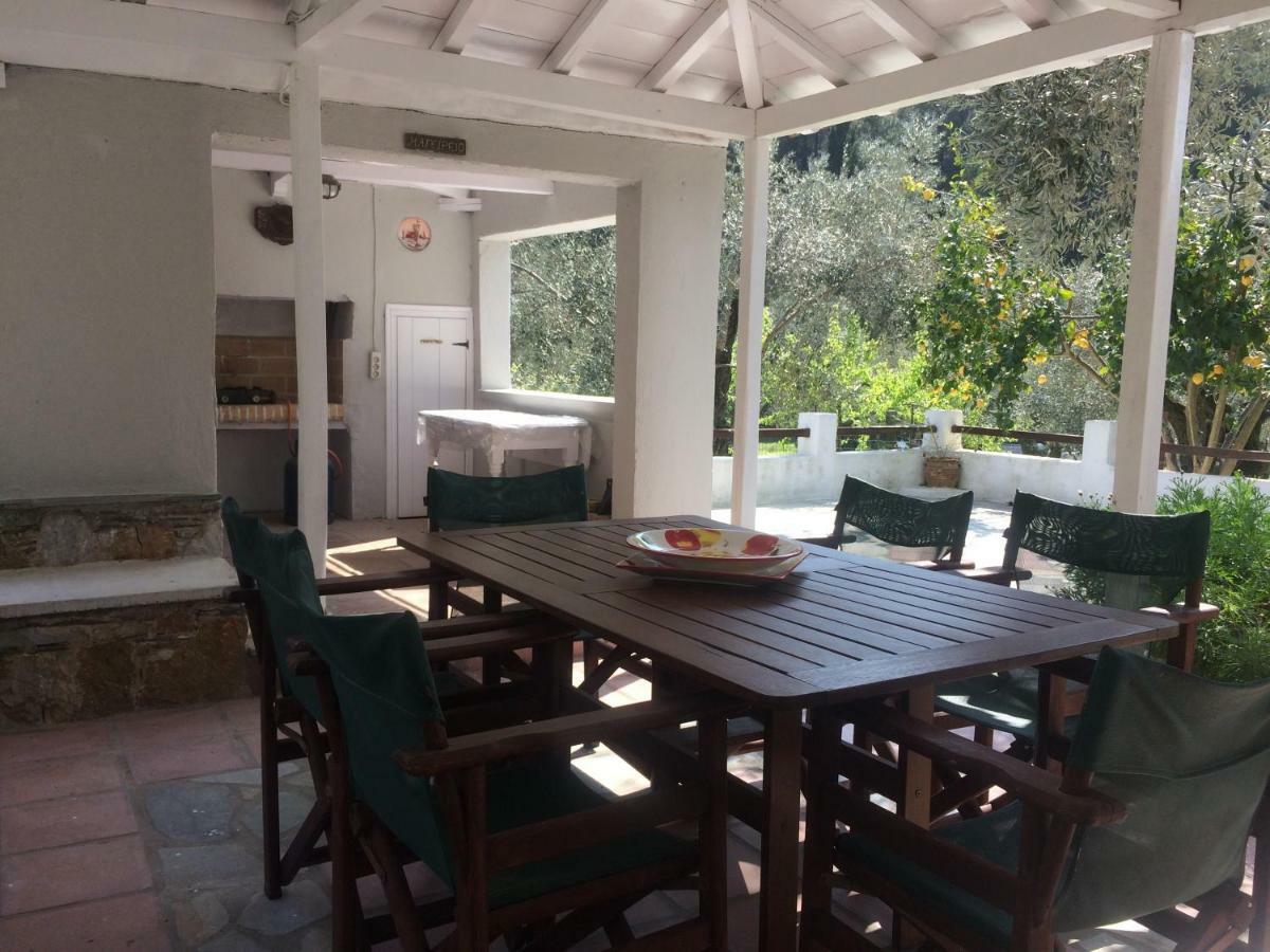 Villa Tillia Panormos  Exteriér fotografie