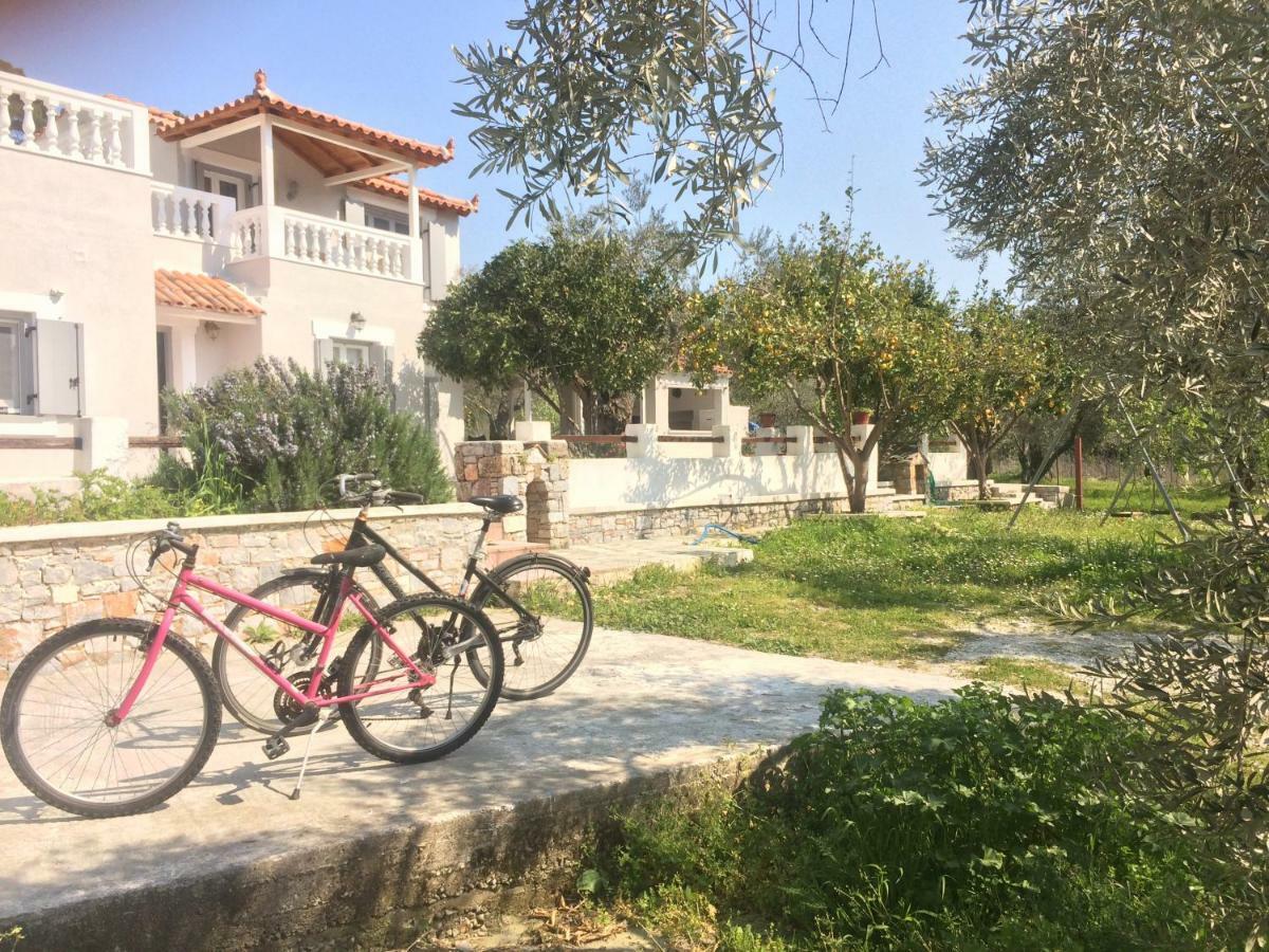 Villa Tillia Panormos  Exteriér fotografie