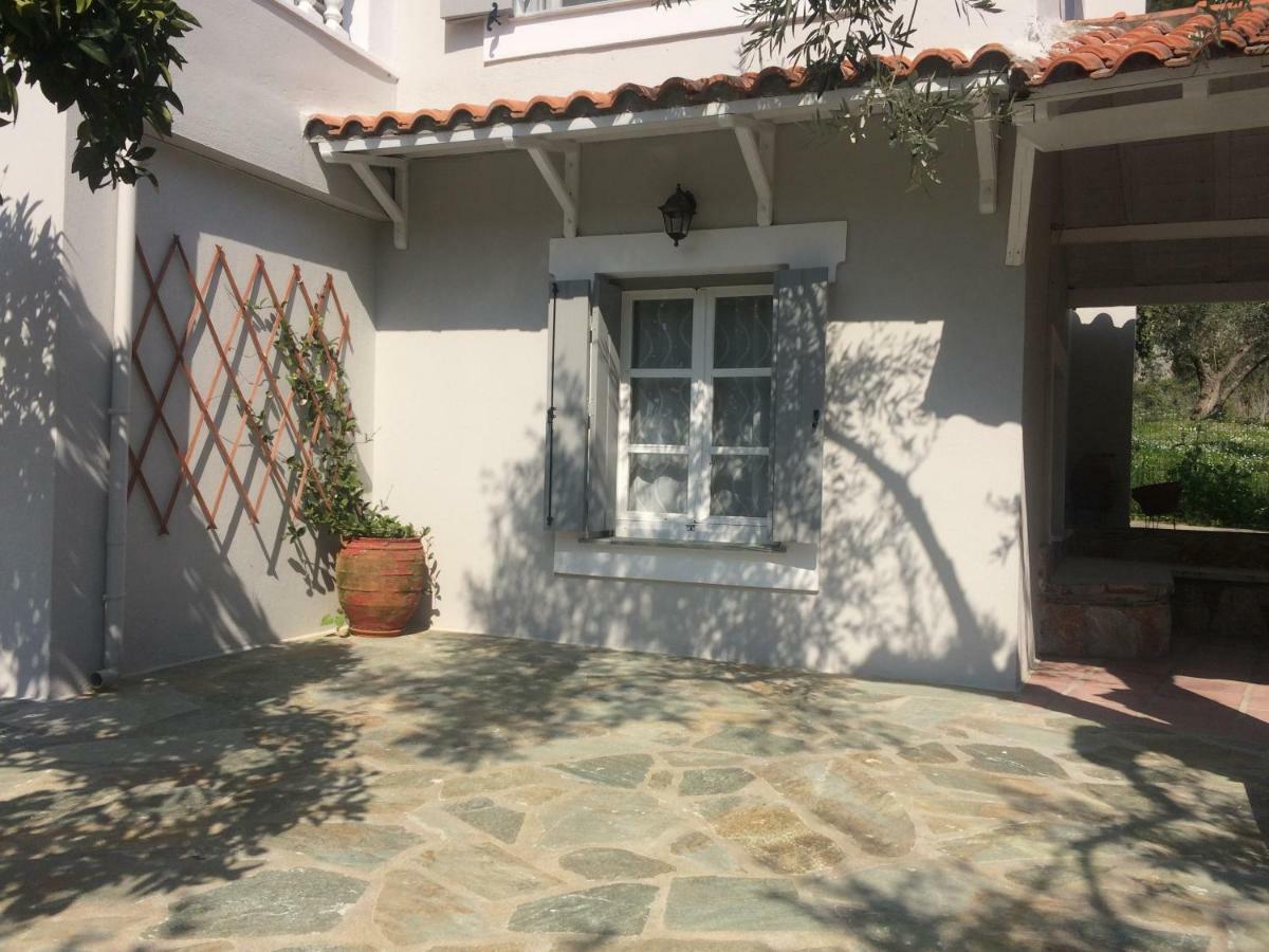 Villa Tillia Panormos  Exteriér fotografie
